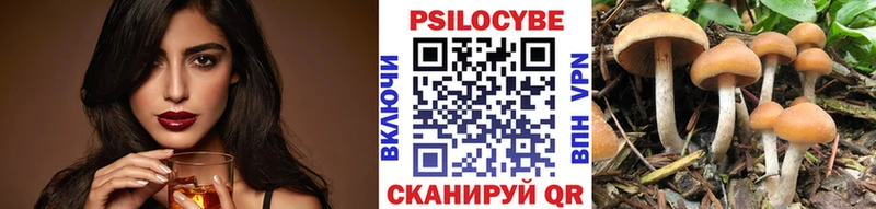 Купить где  Чишмы  Галлюциногенные грибы MAGIC MUSHROOMS 